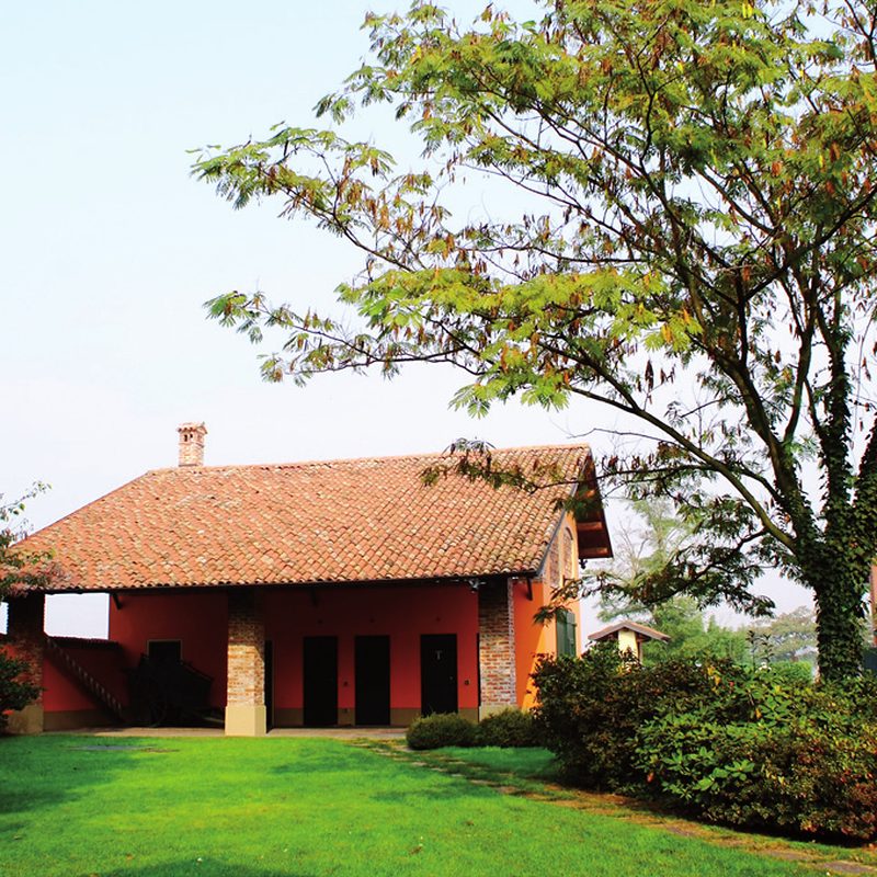 The farmhouse among the trees