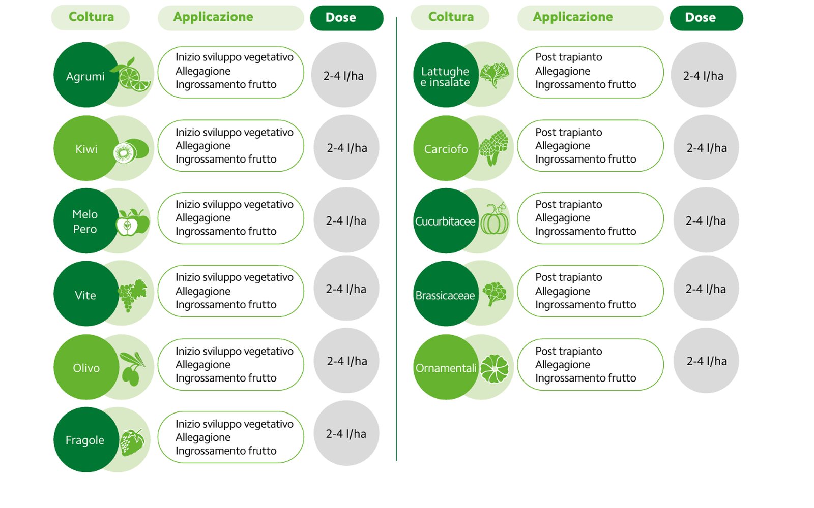 COMPO EXPERT — Basfoliar® Spyra Ca SL — The eleven crop cards, with icon, application stages and dose.