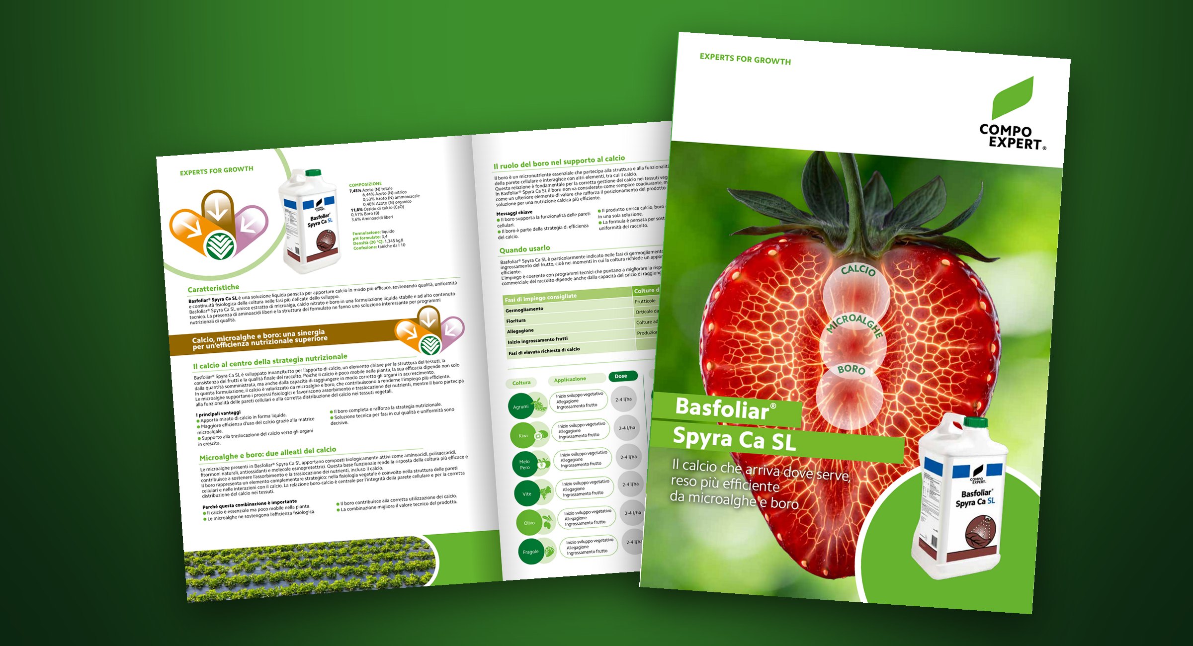 COMPO EXPERT — Basfoliar® Spyra Ca SL — The Basfoliar® Spyra Ca SL leaflet: the cover with the strawberry in cross-section and, behind it, the open inside.