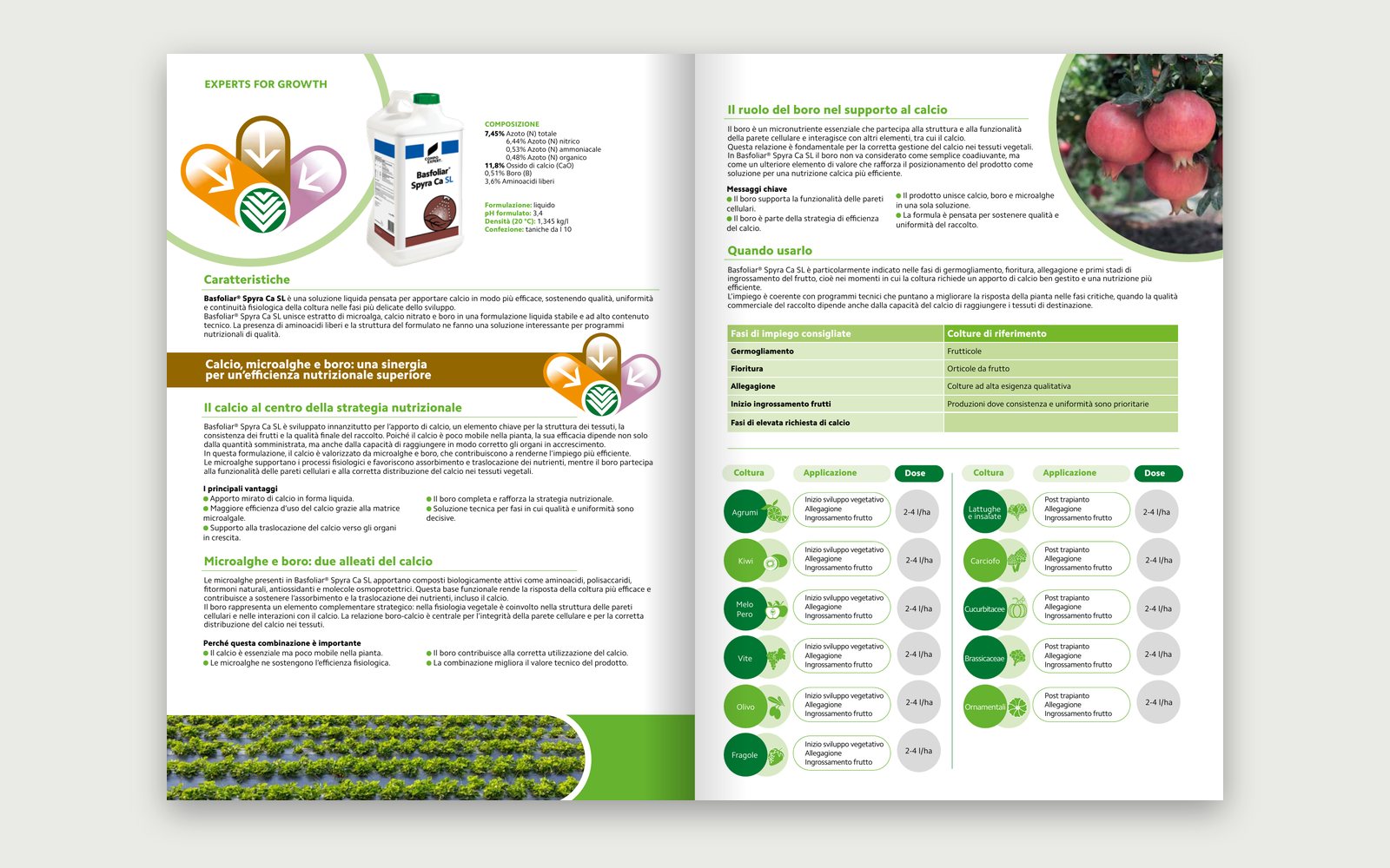 COMPO EXPERT — Basfoliar® Spyra Ca SL — The inside: composition and features on the left; role of boron, application stages and doses on the right.