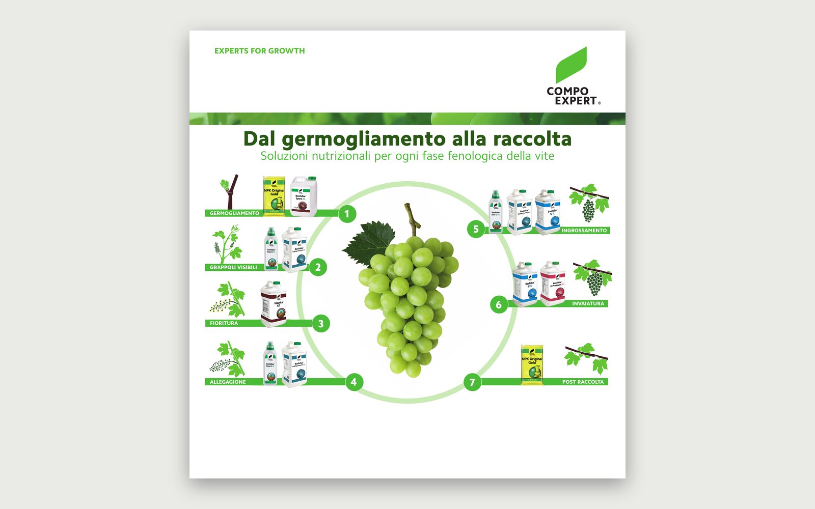 COMPO EXPERT — LUV 2026 stand — “From budbreak to harvest”: the seven stages of the vine in a circle, with the products for each.