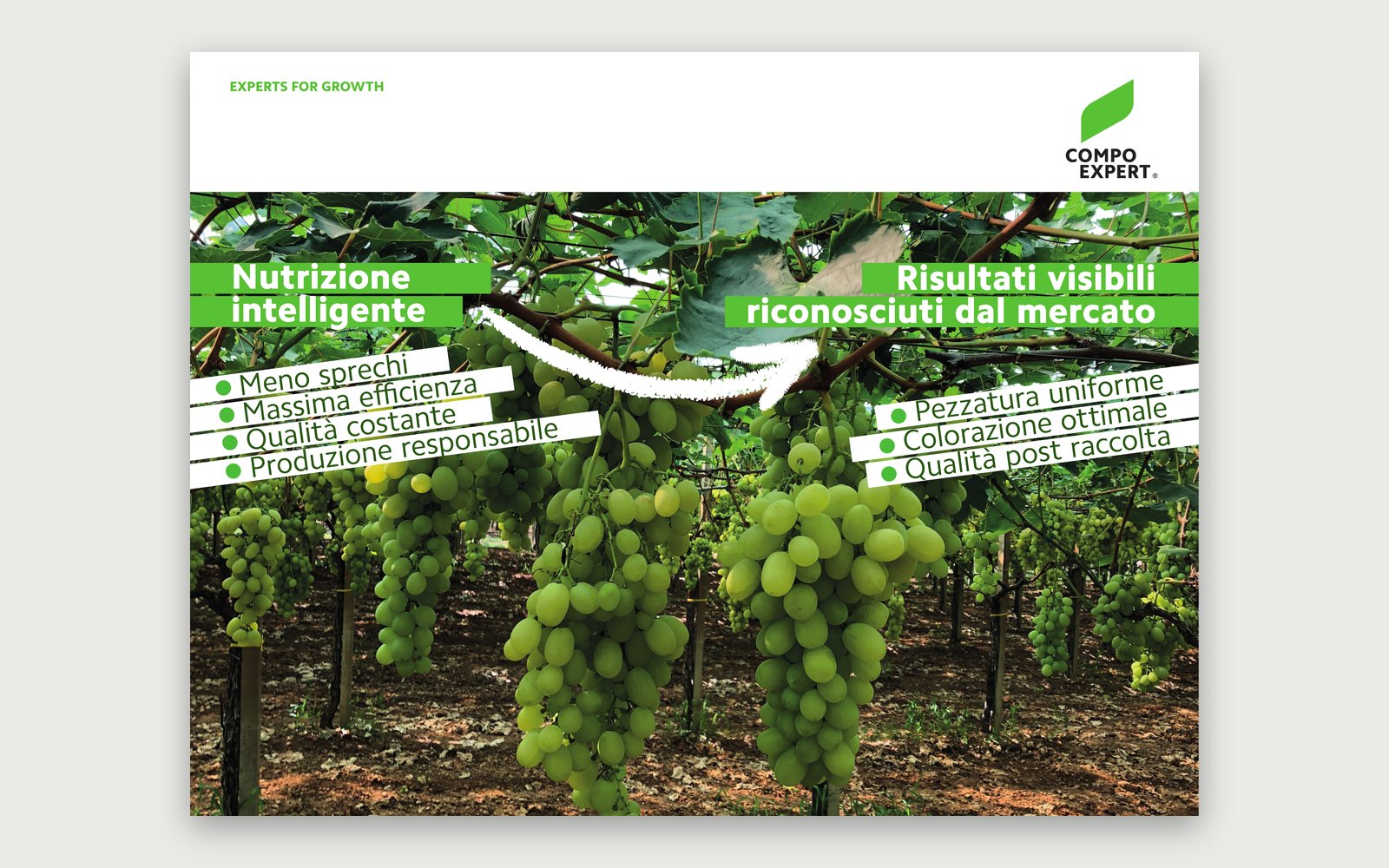COMPO EXPERT — LUV 2026 stand — “Smart nutrition”: from the benefits in the field to results recognised by the market.