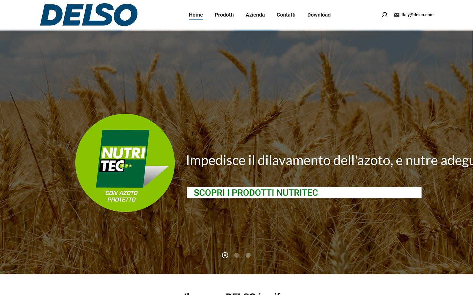 Delso — The home page: the product line slider.