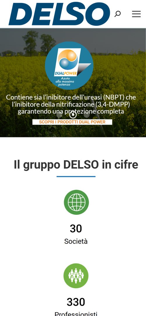 Delso — The home page on a phone.